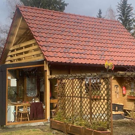 Holzhaus Mit Direktem Wasserzugang In Berlin-Koepenick Dış mekan fotoğraf